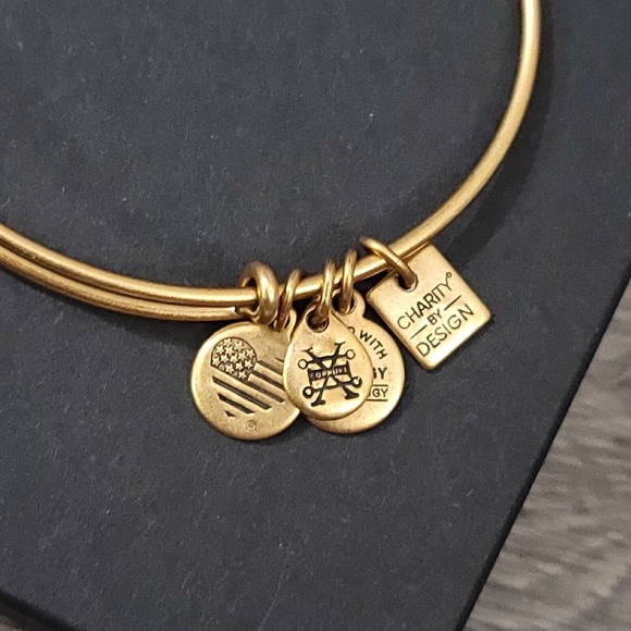 Alex and Ani Completely Blessed Charm Bracelet Positive Faith Gratitude - Picture 4 of 10